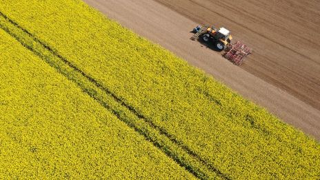 CNH Industrial N.V. : Cycle reversal in sight?